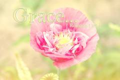 design_04