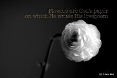design_05