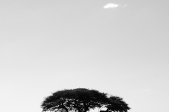 Namibië 2014
