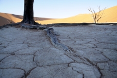 Namibië 2014