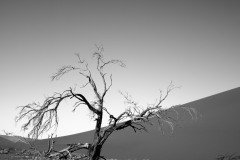 Namibia 2014