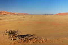 Namibië 2014
