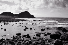 landscape_15