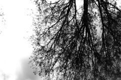 mono_08