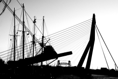 mono_14
