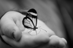 mono_27