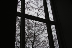 mono_37